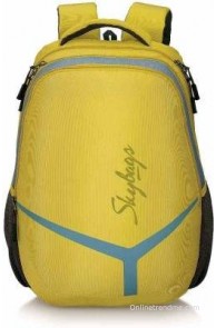 Skybags Flash 02 2.5 L Backpack(Yellow, Size - 210)